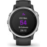 Часы GARMIN FENIX 6S BLACK SILVER WITH BLACK BAND