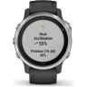 Часы GARMIN FENIX 6S BLACK SILVER WITH BLACK BAND