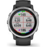 Часы GARMIN FENIX 6S BLACK SILVER WITH BLACK BAND