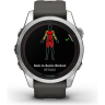 Часы GARMIN FENIX 7S PRO – SOLAR EDITION SILVER WITH GRAPHITE BAND
