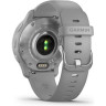 Часы GARMIN VENU 2 PLUS SILVER STAINLESS STEEL BEZEL WITH POWDER GRAY CASE AND SILICONE BAND