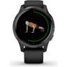Часы GARMIN VENU SLATE STAINLESS STEEL BEZEL WITH BLACK CASE AND SILICONE BAND