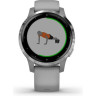 Часы GARMIN VIVOACTIVE 4S POWDER GRAY/SILVER