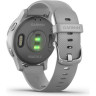 Часы GARMIN VIVOACTIVE 4S POWDER GRAY/SILVER