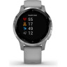 Часы GARMIN VIVOACTIVE 4S POWDER GRAY/SILVER