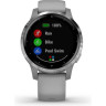 Часы GARMIN VIVOACTIVE 4S POWDER GRAY/SILVER