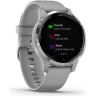 Часы GARMIN VIVOACTIVE 4S POWDER GRAY/SILVER