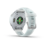 Смарт-часы GARMIN FORERUNNER 570 (42 мм) голубой алюминий/белый