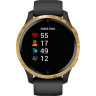 Умные часы GARMIN VENU BLACK/GOLD WI-FI GPS
