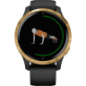 Умные часы GARMIN VENU BLACK/GOLD WI-FI GPS