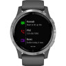 Умные часы GARMIN VIVOACTIVE 4 SHADOW GRAY/SILVER WI-FI GPS